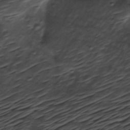 Orbital imagery of Block 1-3, Parcel 0-5
