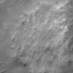 Orbital imagery of Block 1-3, Parcel 0-13