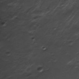 Orbital imagery of Block 1-3, Parcel 0-15
