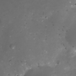Orbital imagery of Block 1-3, Parcel 6-10