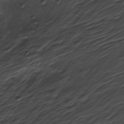 Orbital imagery of Block 1-3, Parcel 8-0