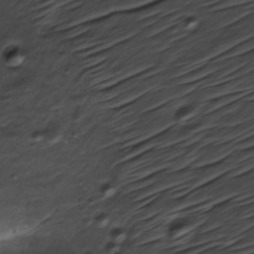Orbital imagery of Block 1-3, Parcel 9-0