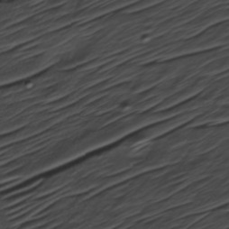 Orbital imagery of Block 1-3, Parcel 10-0