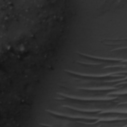 Orbital imagery of Block 1-3, Parcel 10-7