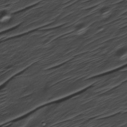 Orbital imagery of Block 1-3, Parcel 11-0