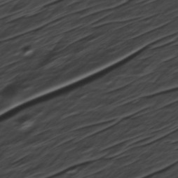 Orbital imagery of Block 1-3, Parcel 14-2