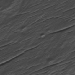 Orbital imagery of Block 1-3, Parcel 15-3